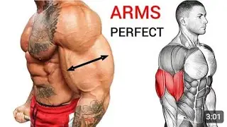 Biceps Workout 💪 Biceps Workout At GYM 🔥 Biceps Exercise At Home 