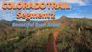 Colorado Trail Segment 2 BEAUTIFUL Burn Area!