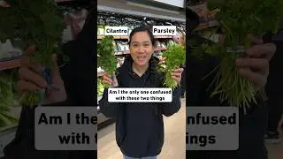 I&rsquo;m always confused with these two #cilantro  #parsley