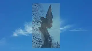 Bunch of angels