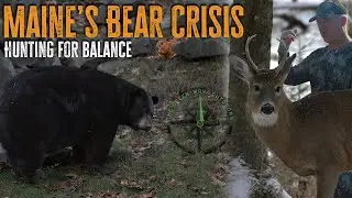 VLOG 31 - Hunting Maine Black Bear - The Green Way Outdoors Vlog