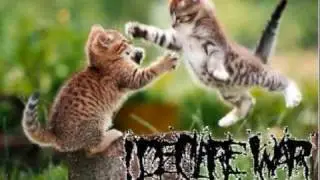 Slowest Fuck1ng Breakdown feat. kittens!