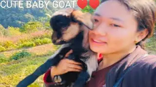 Lagiyo jungle haii🌳🌳🌳🌴