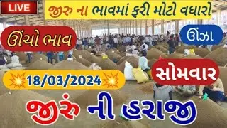Jeera na bhav | 18-03-2024 | જીરું ના ભાવ:2024 | live cumin trading in APMC | commodity Trend