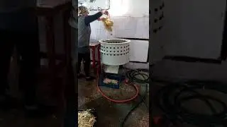 Goose Duck plucker machine by Plucker Ukraine for defeathering different poultry