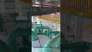200T/D Rice Milling Plant | Complete Solution from Paddy to Packaged Rice #ricemillplant
