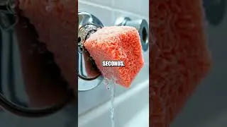 Five Everyday Fixes from Common Household Items