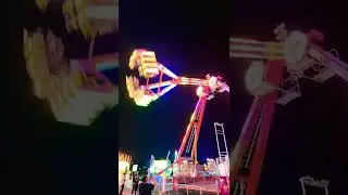 Freak Out -  
