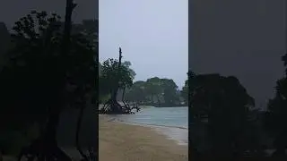 Heavy Rain in Neil Island #viral #viralshort #trend #rain #sea #beach #reel #travel