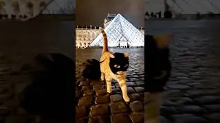 Cat Heist at the Louvre! 😼💎 #shorts