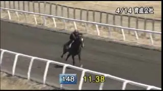 20.05.2015 Colt by SMART ROBIN (Deep Impact)