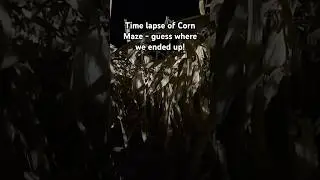 Everything is on a cob!! #hauntedhouse #cornmaze #comedy #timelapse #funny #halloween