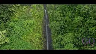 Manoa Falls Waterfall / Exclusive