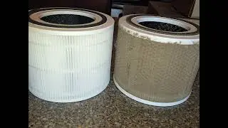 Levoit 300P 5 Month Results