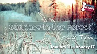 🌲Sundays in the Forest: DIY Lavender Water + Herb of the week + Readings