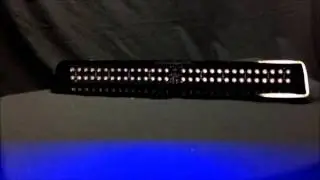 Whelen Slim Miser Blue Light