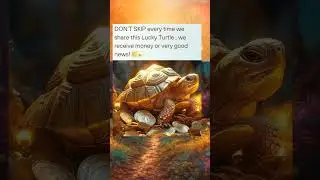 don't skip this Lucky turtle# lucky charm#divineguidance#fengshui# moneymagnet@Spiritual-mantras1