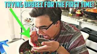 PLAYING WITH OVER 20,000 ORBEEZ FOR THE FIRST TIME!