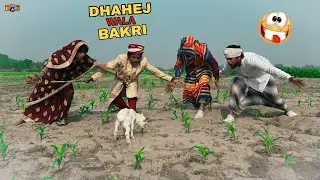 Dahej wala Bakri Totally Funny comedy video 🤣// Lovely fun nonstop