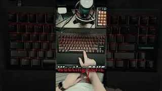 Wooting80HE Spacebar Rattle/Ping Fix