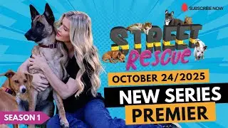 Street Rescue Series Premiere | Joanna Krupa&rsquo;s Mission to Save Pets and People in Need