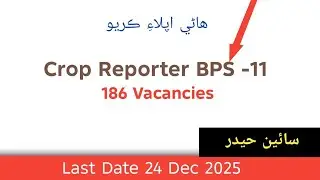 Jobs For Crop Reporter BPS-11 | 186 Vacancies | Apply Now | Latest Govt Jobs 2025