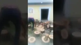 A Girincsi L&aacute;ncf&uuml;r&eacute;szes!