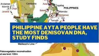 Philippine Ayta people have the most Denisovan DNA, study finds
