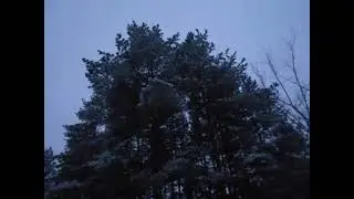 душа так истощена (video)