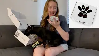 SUMMER 2021 PAWTECTING PAWS SUBSCRIPTION BOX UNBOXING | A Box For Dogs and Dog Moms!
