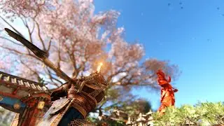 For honor - Medjay&rsquo;s new execution