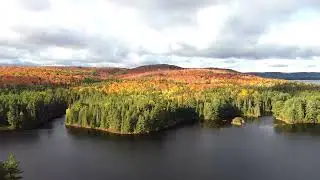 Algonquin Park Fall Colors 2022 🍁
