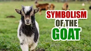 Goat &ndash; Spirit Animal, Bible Meaning and Symbolism of the Goat - Sign Meaning