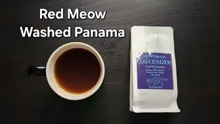 Red Meow Coffee Roastery Review (Tsing Yi, Hong Kong)- Washed Panama Los Cenizos