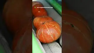 Pompoenen wassen in 20 seconden #shorts_video