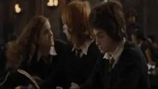 I Kissed A Girl - Harry Potter Music Video