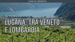 Lugana, tra Veneto e Lombardia | Tannico Flying School