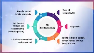 NATURAL KILLER CELLS 