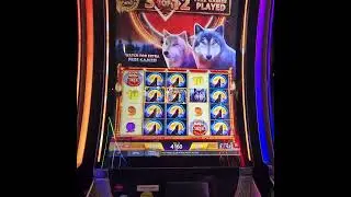 Wolf Run 