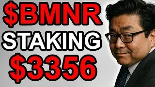 $BMNR START of STAKING: $3,356
