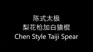 Chen Style Taiji Spear (Qiang) - 梨花枪加白猿棍 - Master Giuseppe Paterniti Lupo
