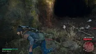 Days Gone: Remastered | Proxy Falls Horde | Completed | Survivor