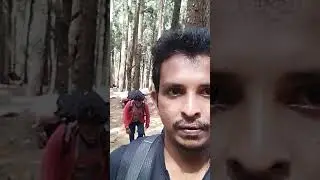 Bambarakanda waterfall Hiking 🥾