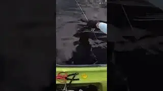 Kayaker CATCHES Giant TARPON on the MULET @FishAholicTV #fishing #florida #saltwater #tarpon #shorts