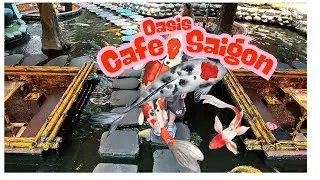 Things to do in Ho Chi Minh Vietnam, Oasis Cafe saigon