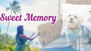 [踊ってみた] Sweet Memory / Choreography by Mana