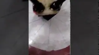 AnaansStepper Test1