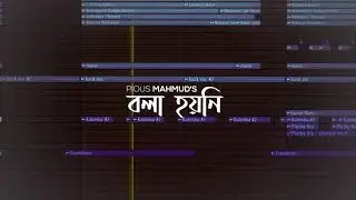 Pious Mahmud - Bola Hoyni (বলা হয়নি) | Instrumental