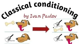 Classical conditioning by Pavlov in Psychology