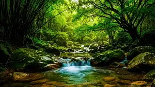 FOREST RIVER SOUNDS | BEAUTIFUL BIRDSONG THAT INSTANTLY CALMS YOUR MIND FOR DEEP SLEEP